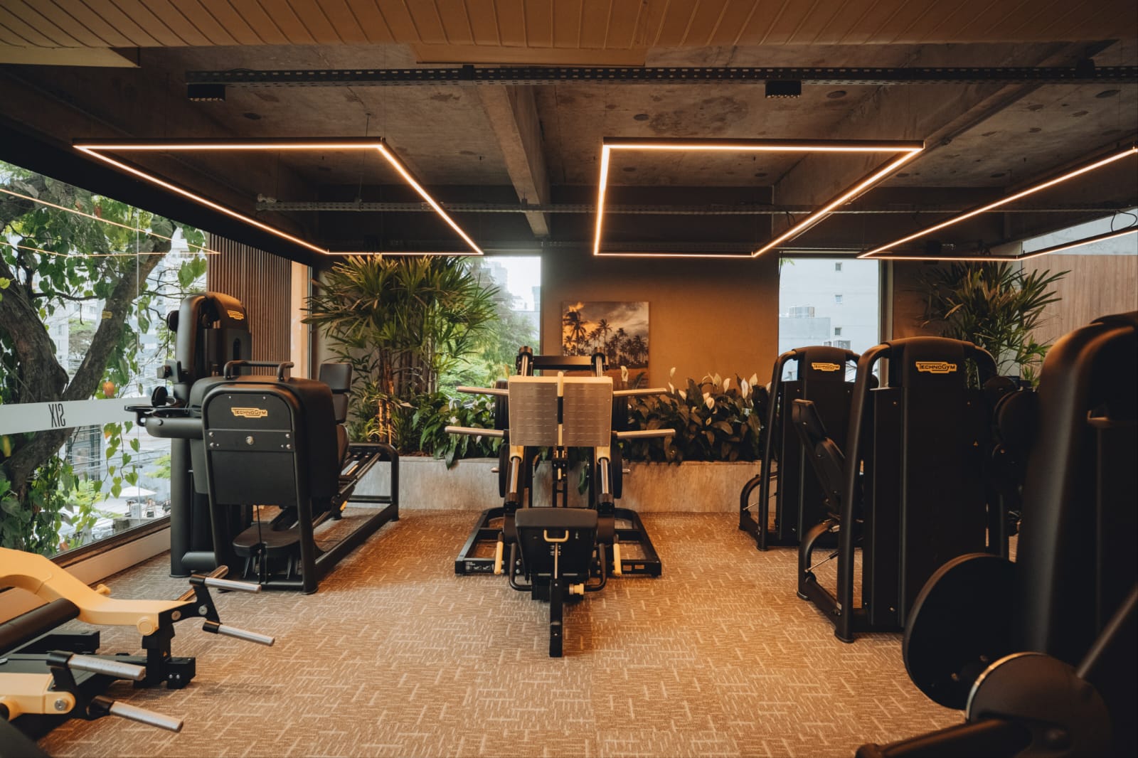 Localização Estratégica: Onde Estão Essas Joias do Fitness? - inspiração 1