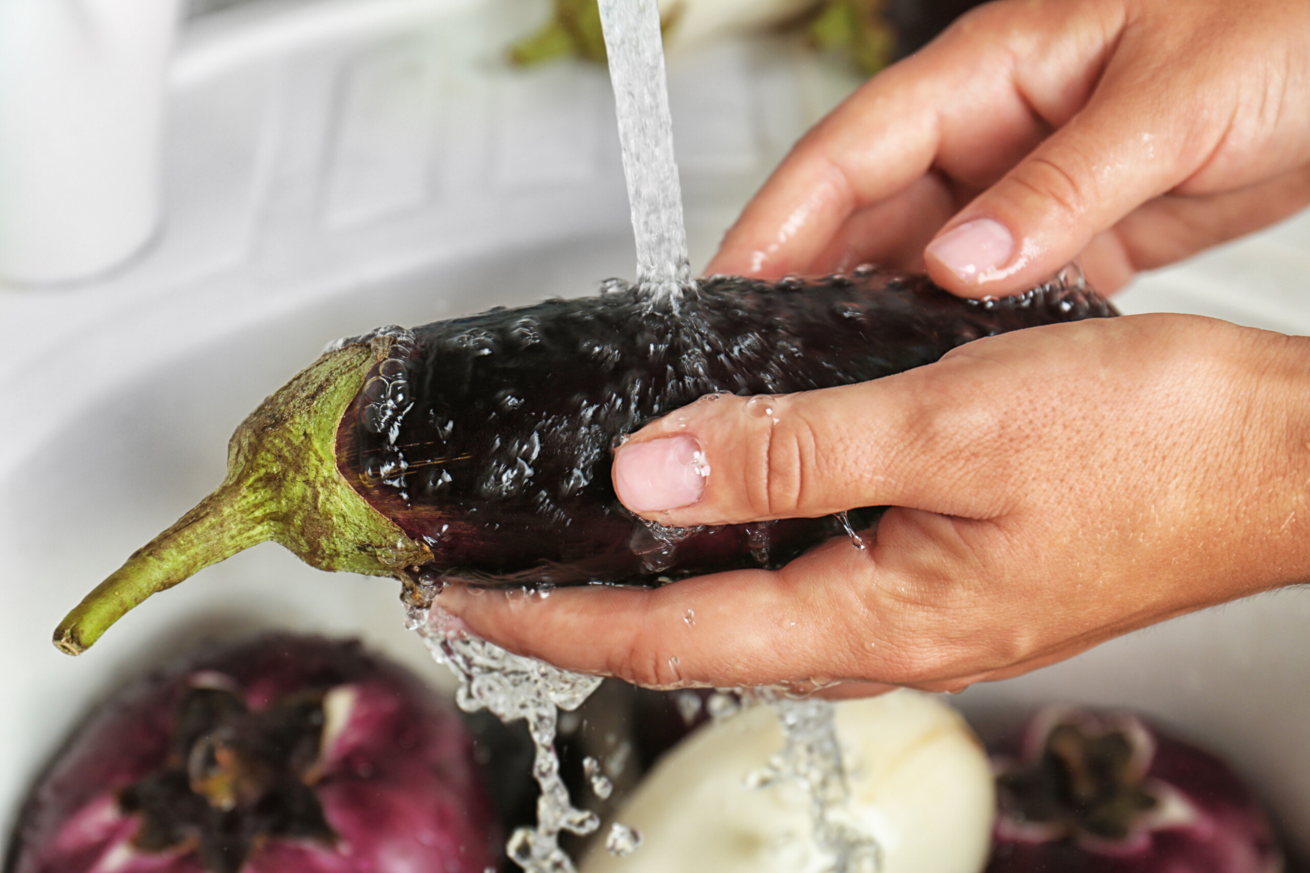 Como a berinjela pode atuar no organismo? - inspiração 2