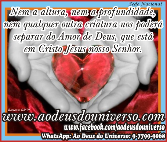 Colhendo os Frutos: A Paz e a Alegria do Amor Verdadeiro - inspiração 2