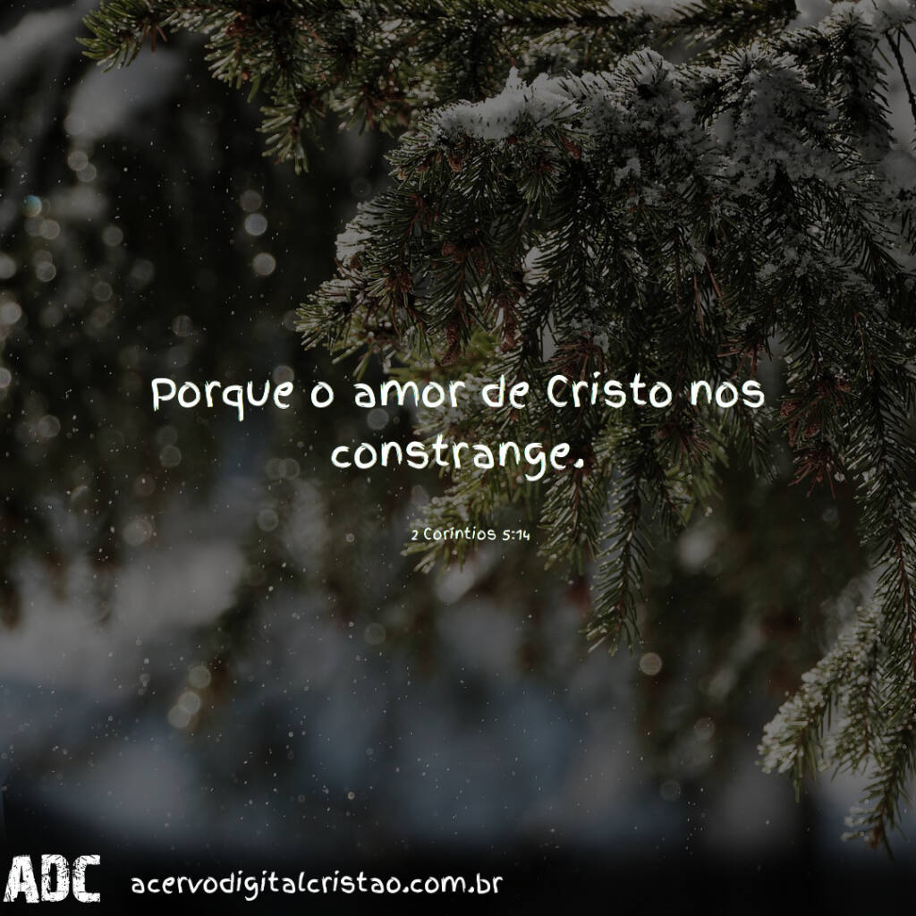 Servindo ao Outro: Gestos Que Refletem o Amor Cristão - inspiração 1