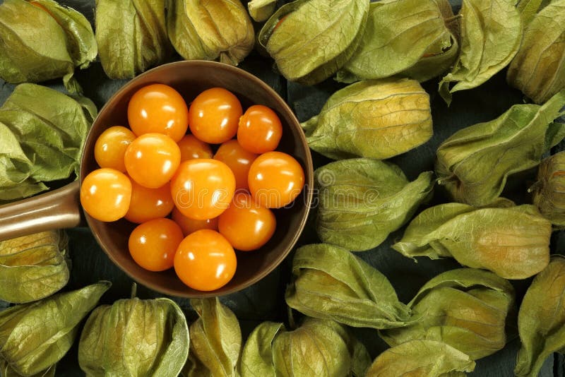 Caçarola de Frutas Salgadas? Sim, É Possível! - inspiração 2