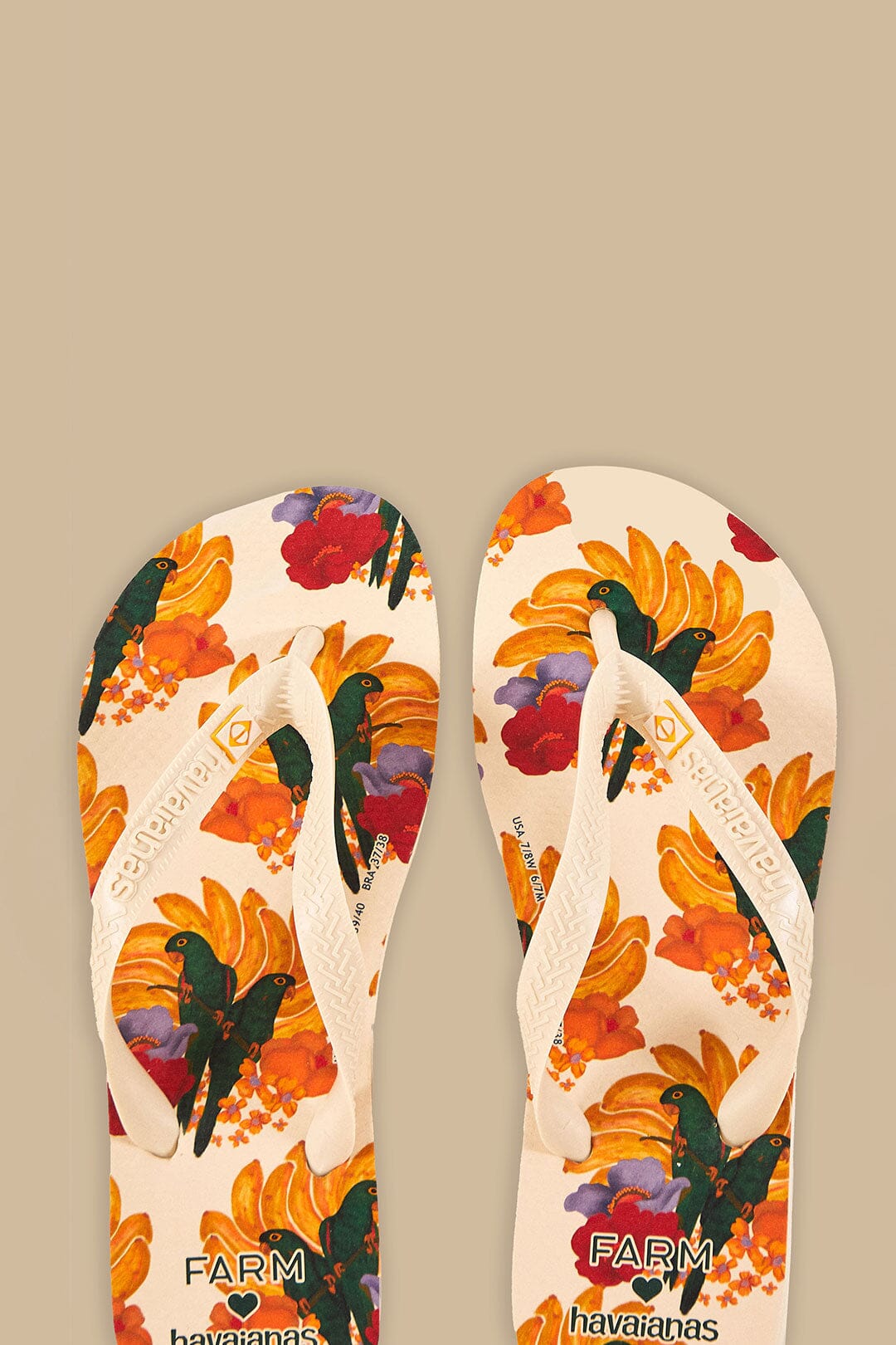 A simplicidade que virou moda: A origem humilde das Havaianas - inspiração 2