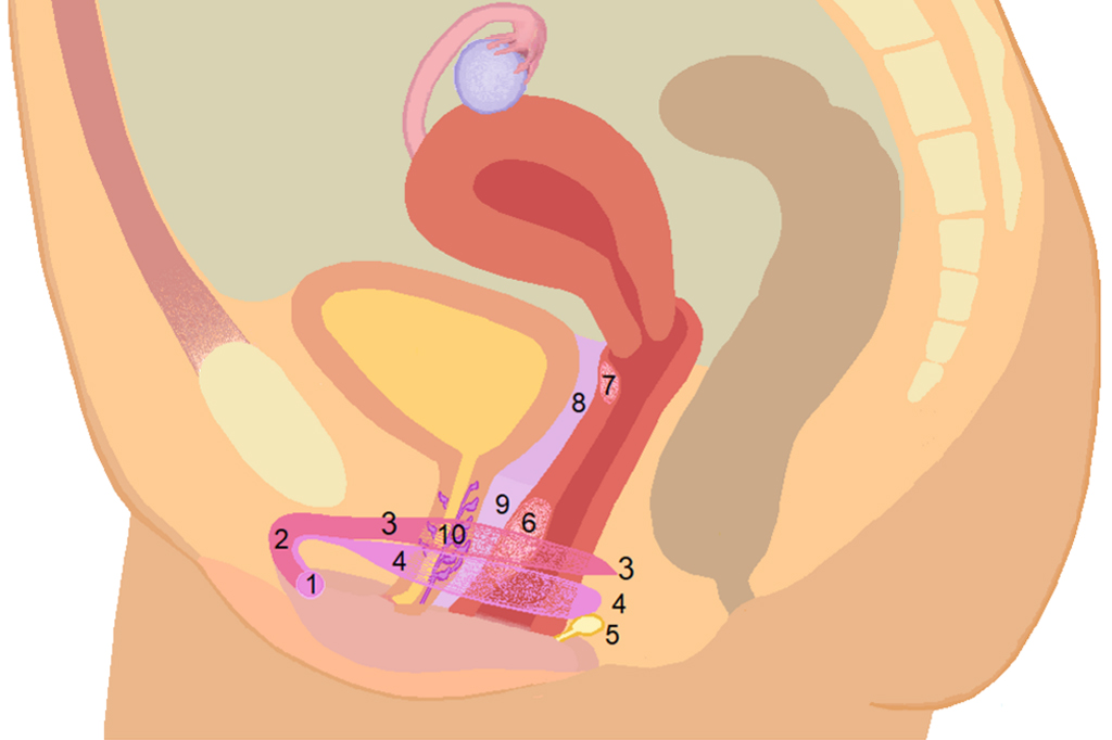 A Importância da Comunicação Aberta e Sincera - inspiração 1