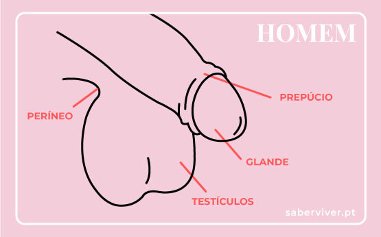 Conhecendo a Anatomia: Onde Tocar para Mais Prazer - inspiração 2