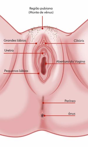 Pressão e Ritmo: Encontrando a Cadência Perfeita - inspiração 2