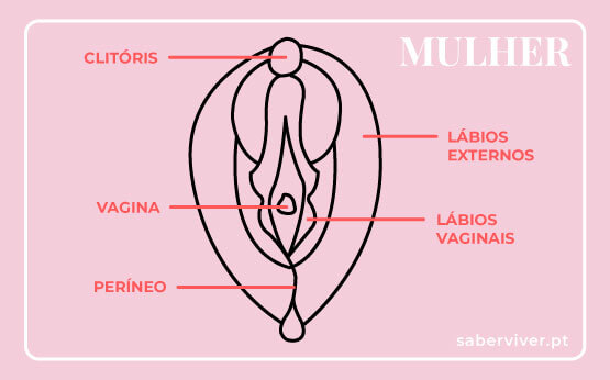 A Linguagem do Corpo: Comunicação Além das Palavras - inspiração 1