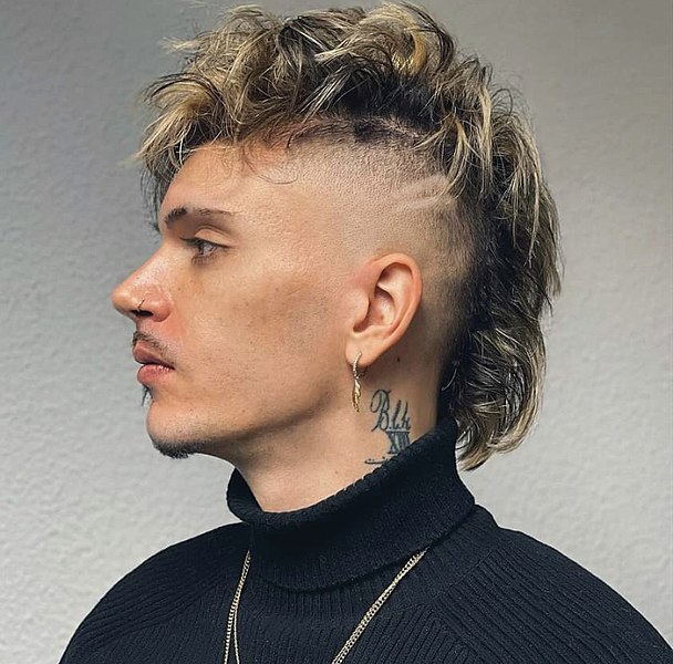 Mullet Longo: O Drama e a Presença que Você Merece - inspiração 2