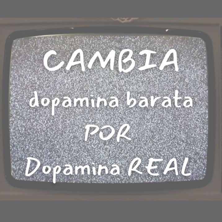 Ler Uma Página Que Te Transporta - inspiração 1