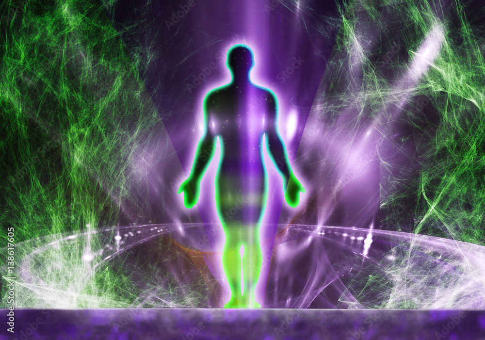 O Poder das Ervas e Aromas: Criando Ambientes Energéticos Positivos - inspiração 2