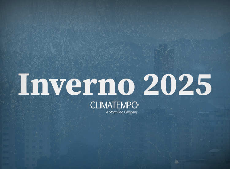 Estampas Que Aquecem: Flores Sombrias, Geométricos e Animais - inspiração 1