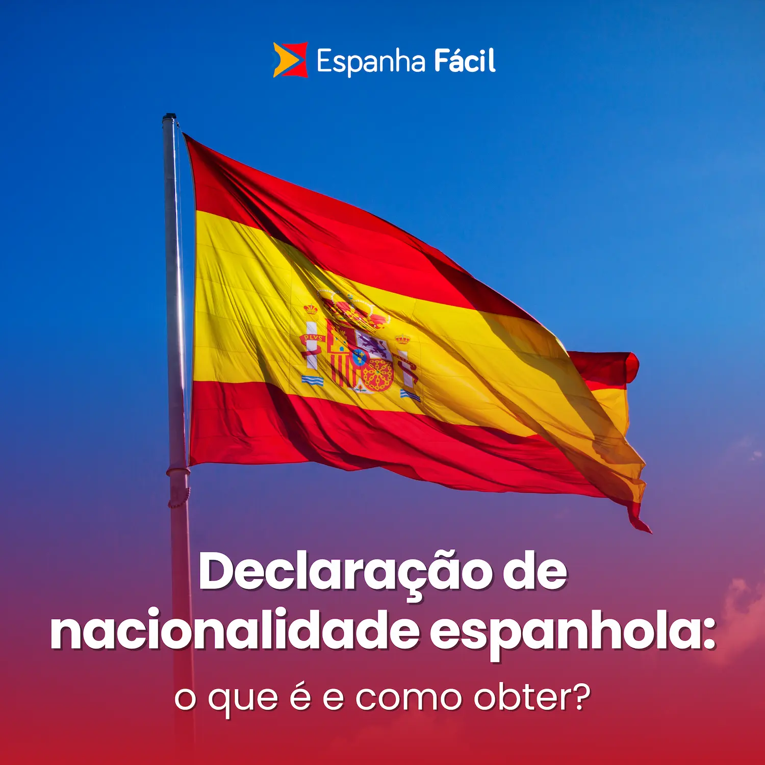 O Azeite de Oliva Espanhol: O Ouro Líquido da Dieta Mediterrânea - inspiração 2