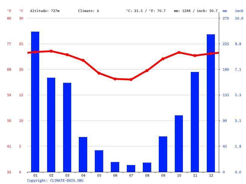 1. Entenda Seu Espaço: Análise das Condições Locais - inspiração 1