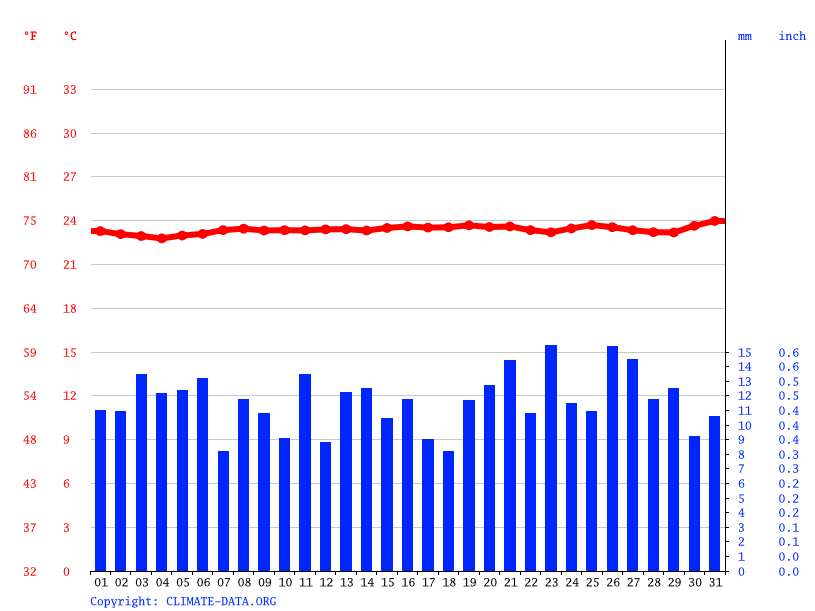 4. Rega Consciente: Quantidade e Frequência Certas - inspiração 1
