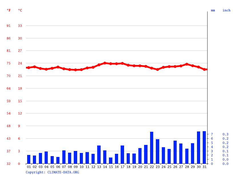 5. Luz na Medida Certa: Posicionamento e Necessidades - inspiração 1