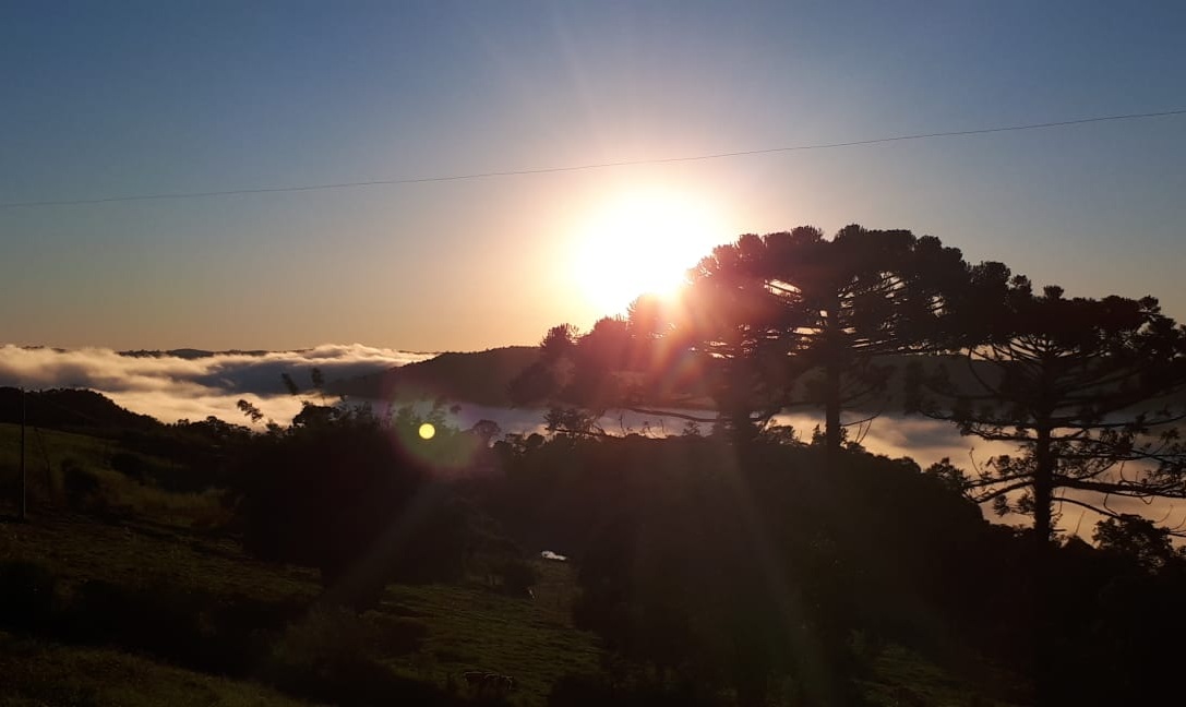 8. Manejo Integrado: Prevenção e Controle de Pragas - inspiração 2