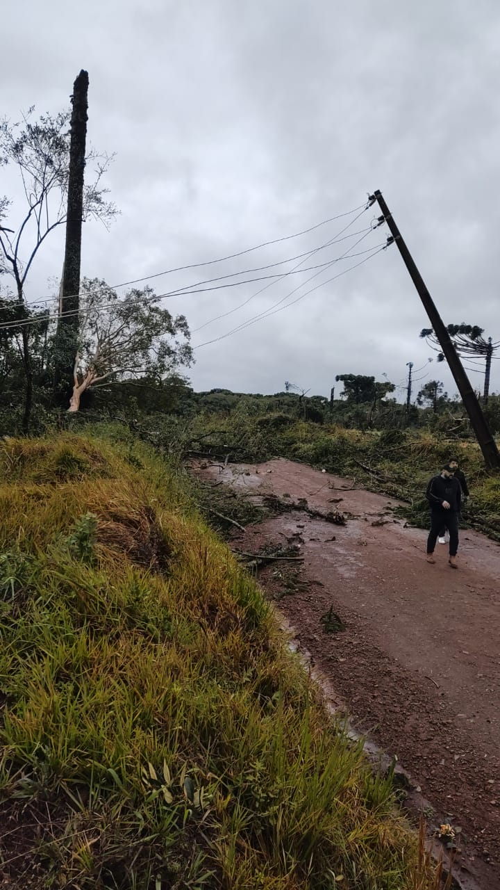 9. Paciência e Observação: Ajustes Fino de Acordo com o Ciclo - inspiração 2