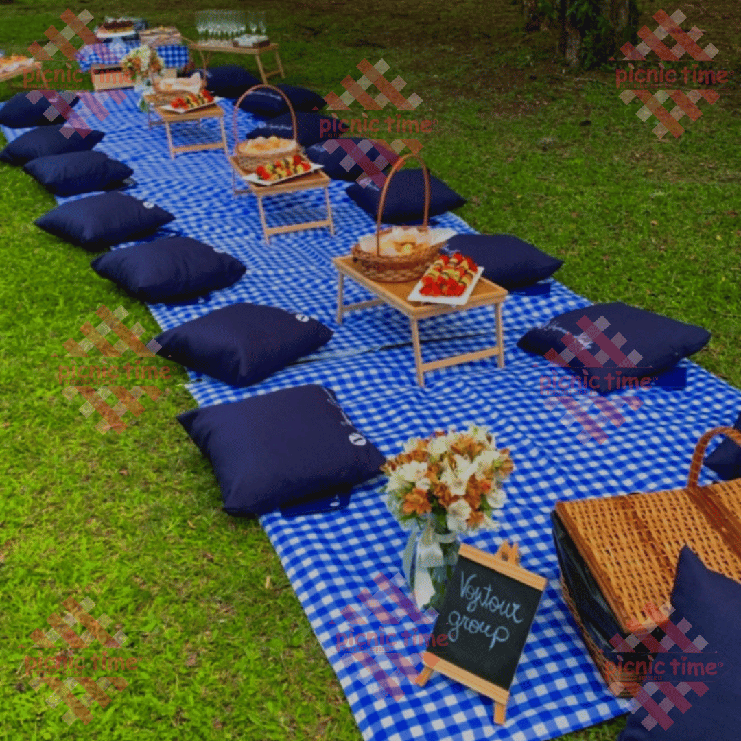 Toques de Conforto: Mantas, Almofadas e o Essencial - inspiração 1