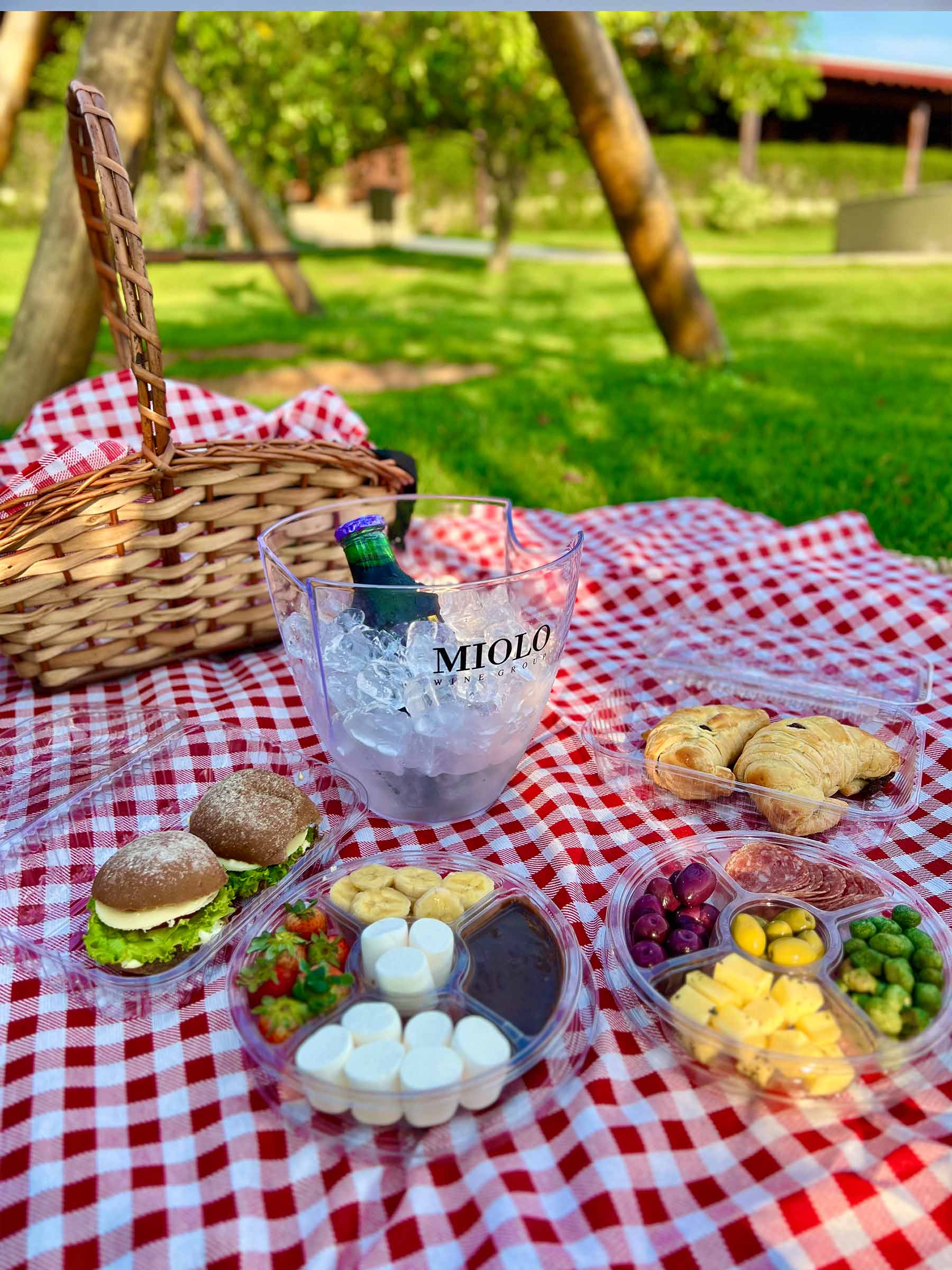 Segurança Alimentar: Cuidados Essenciais para sua Saúde - inspiração 1