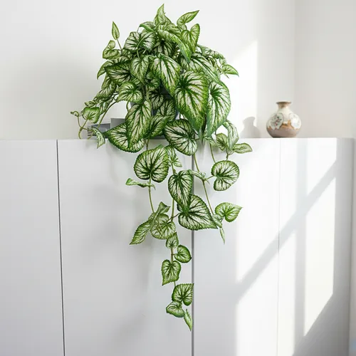 Do Escritório à Sala: Plantas Suspensas que Purificam o Ar e o Ambiente - inspiração 2
