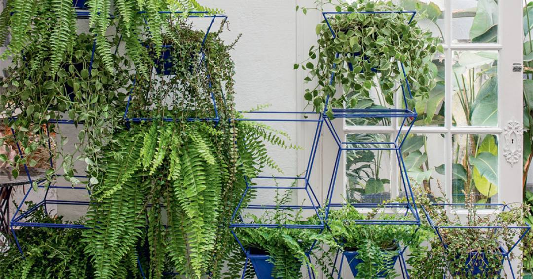 Verde que Vibra: Plantas Suspensas Ideais para Varandas e Áreas Externas - inspiração 2