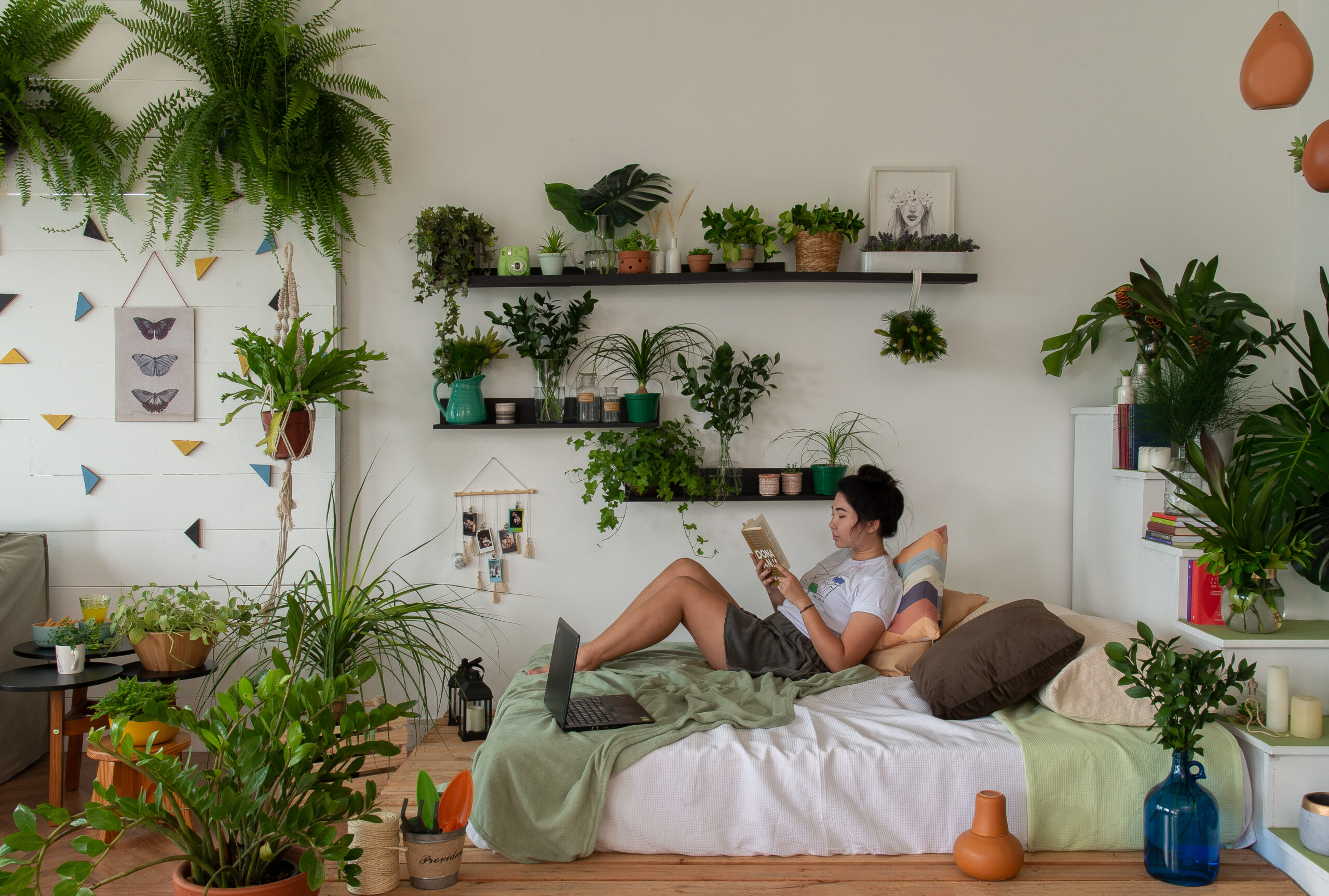O Poder da Perspectiva: Como a Altura Valoriza a Decoração com Plantas - inspiração 1