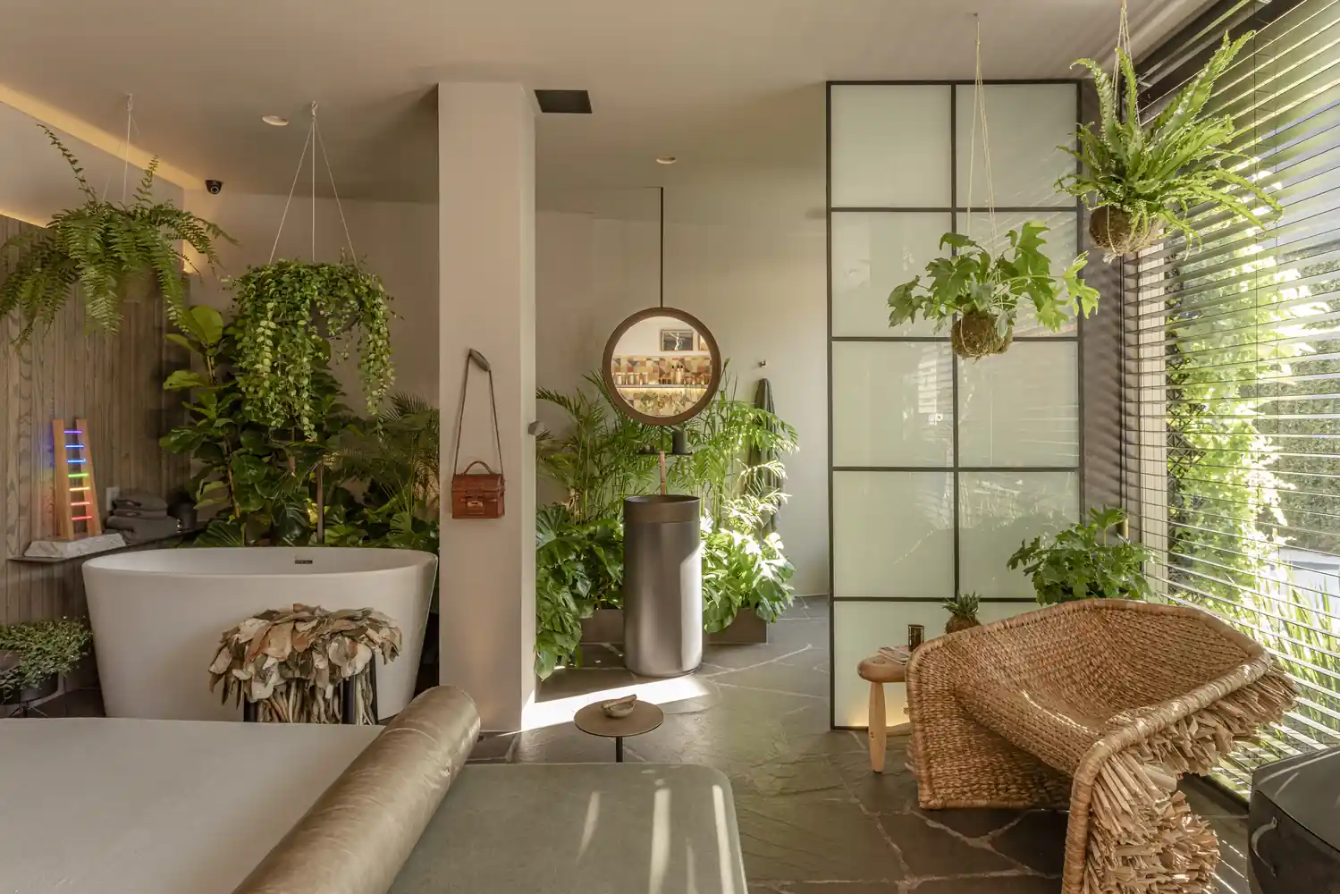 Ideias Criativas para Integrar Plantas Suspensa na Decoração - inspiração 1