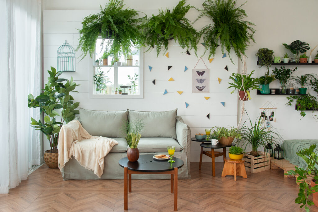 Luz na Medida Certa: Onde Posicionar Suas Companheiras Verdes - inspiração 2