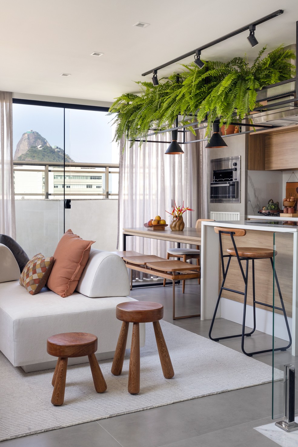 Ideias Criativas Para Incorporar Plantas Suspensas na Sua Decoração - inspiração 1