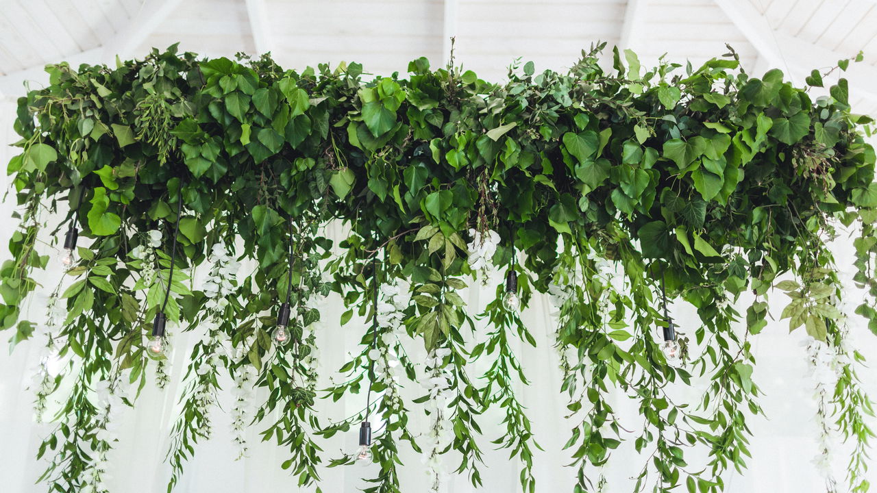 A Importância da Umidade e Como Criar o Clima Ideal - inspiração 1