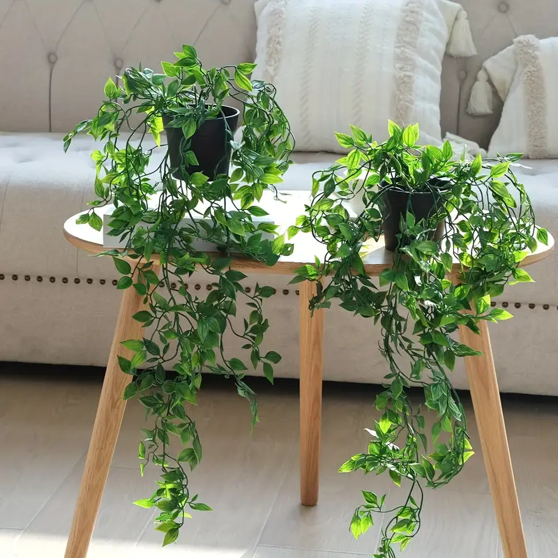 Solucionando Problemas Comuns: Pragas e Doenças em Plantas Suspensas - inspiração 1