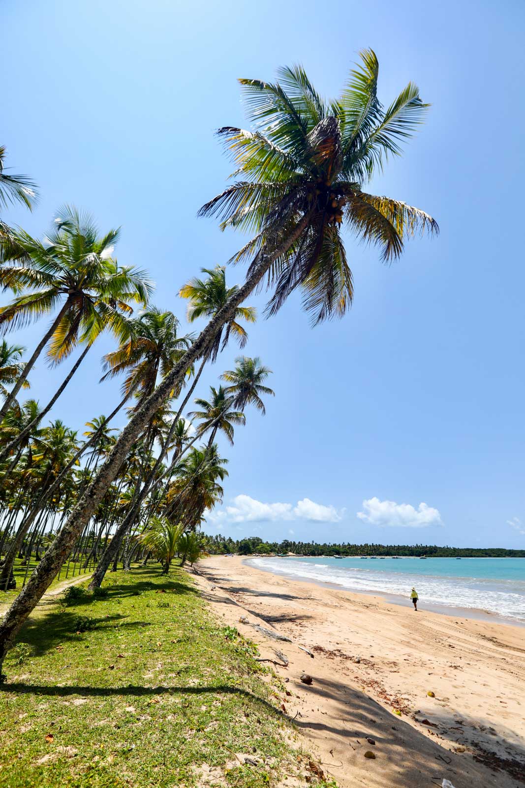 Acessibilidade nas praias: Inclusão para todos curtirem - inspiração 2