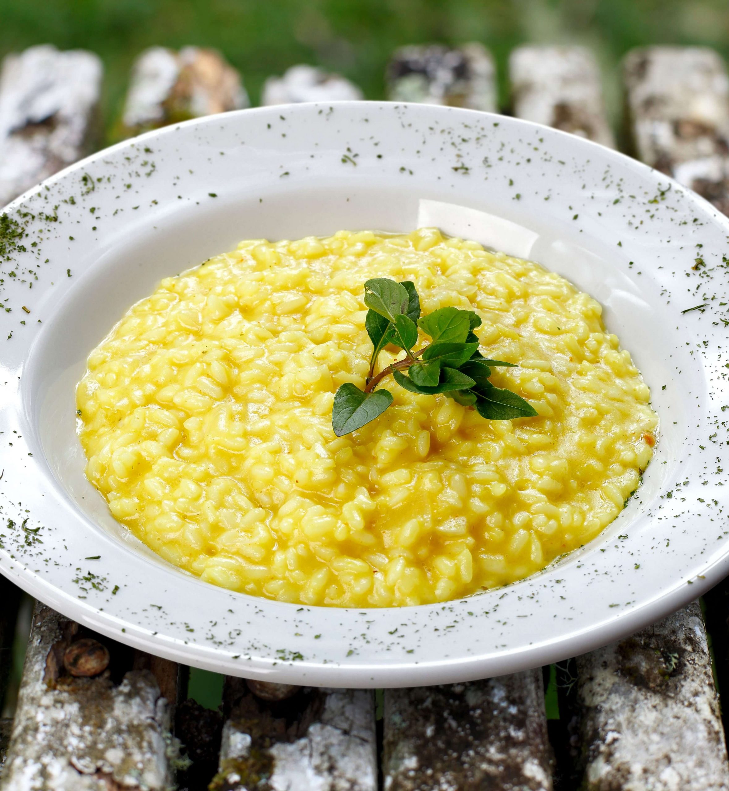 O Poder dos Queijos: Misturando Sabores Para Surpreender - inspiração 1