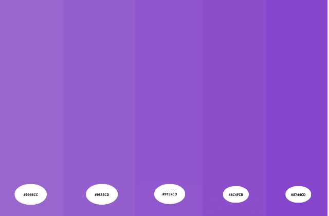 Inspiração Roxo na Natureza: Elementos Que Podem Decorar Sua Casa e Sua Vida - inspiração 1