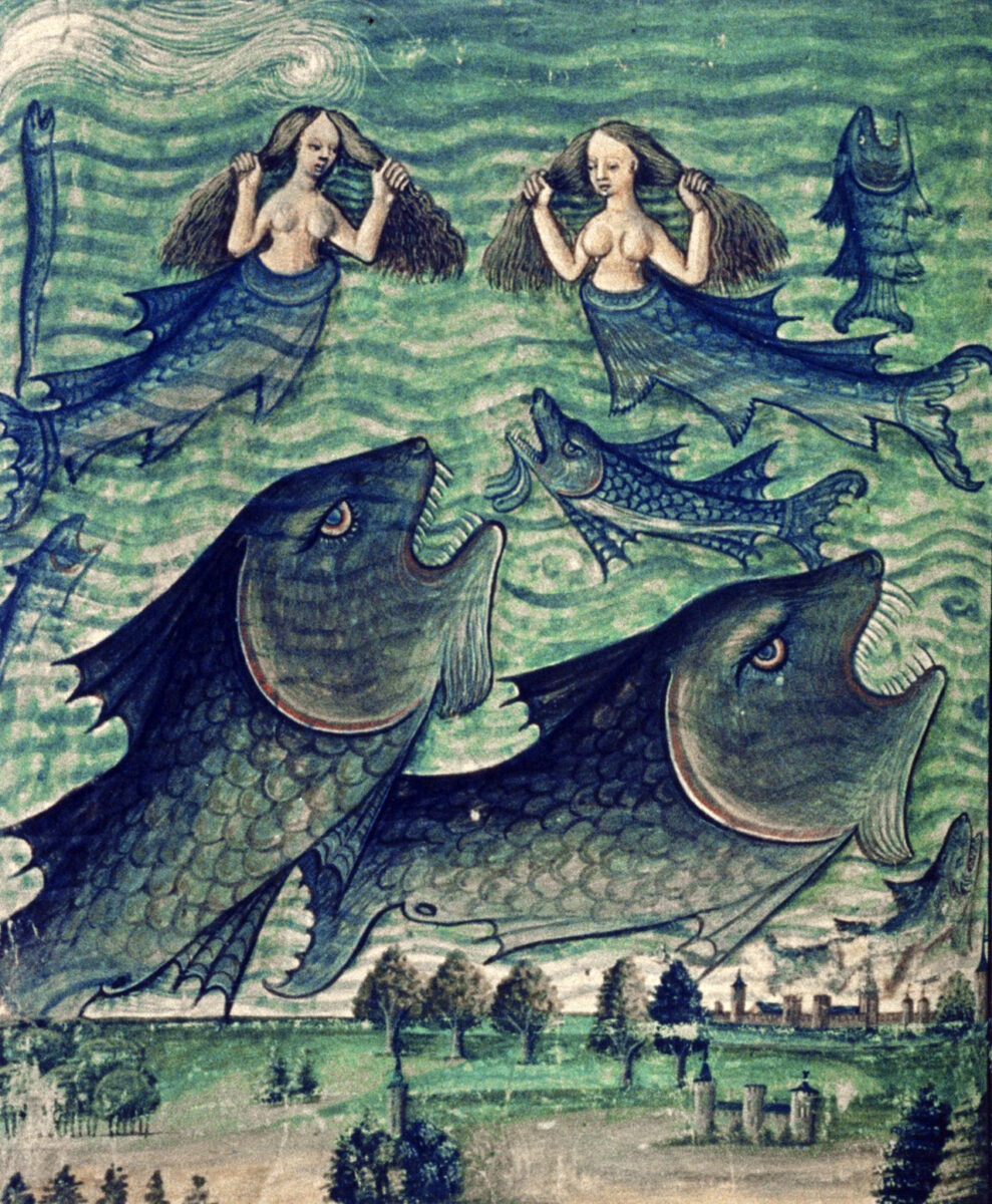 Looks Sereia: Tecidos Fluidos, Cores do Mar e Modelagens Que Celebram Seu Corpo - inspiração 2