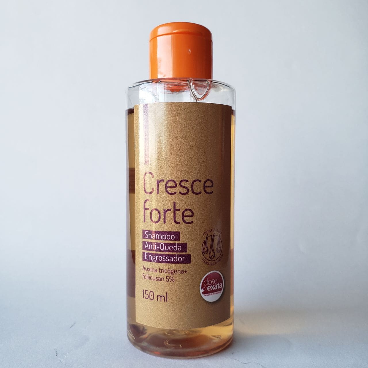 Paciência e Consistência: A Dupla Que Garante Seus Resultados - inspiração 1