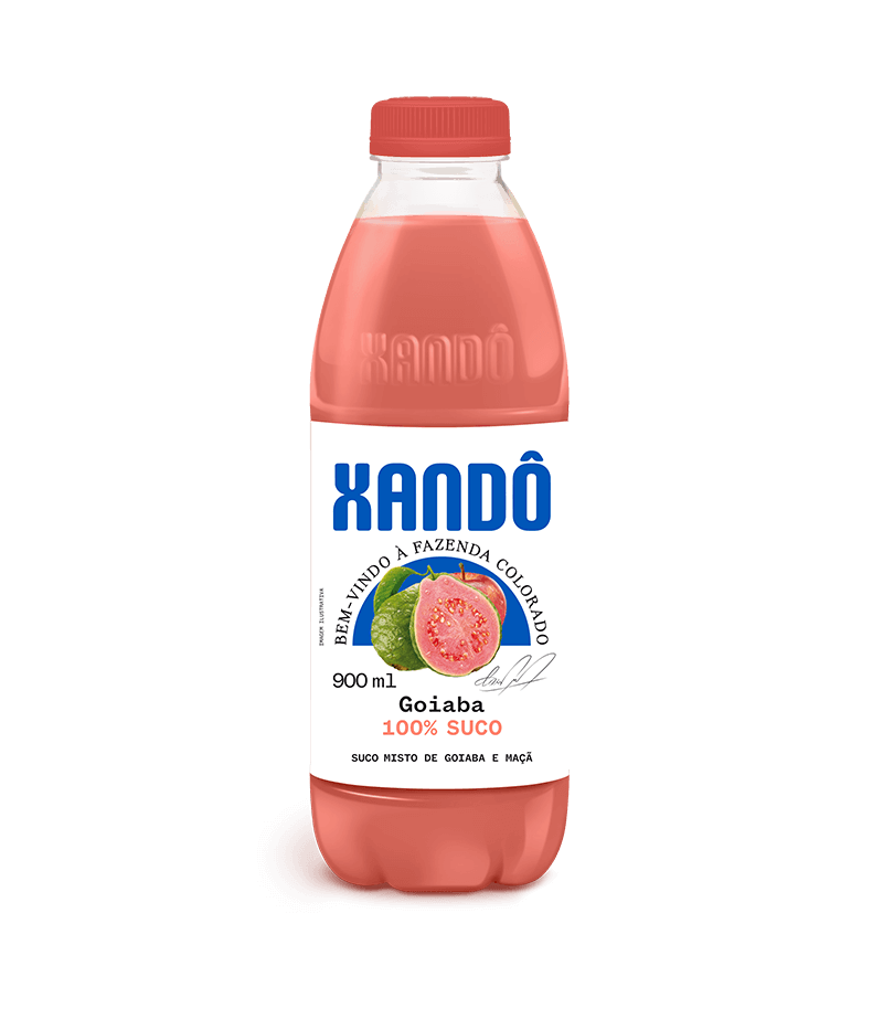 Equilíbrio de Sabores: A Doçura Natural da Goiaba - inspiração 1