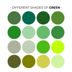 Verde Esmeralda: Sofisticação e Luxo em Cada Detalhe - inspiração 1