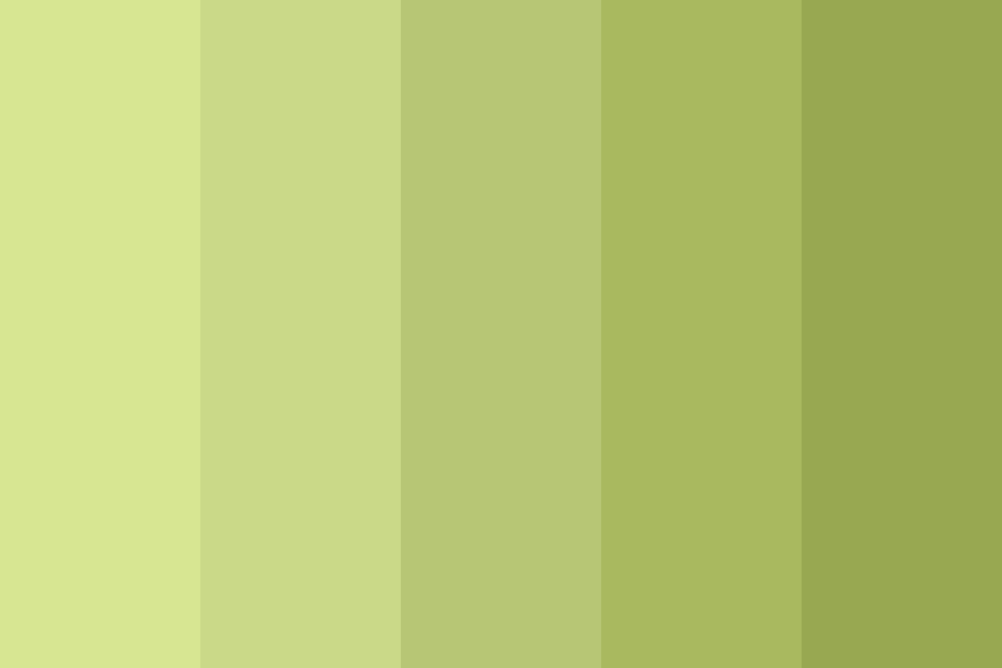 Verde Oliva: Minimalismo Chique e Versátil - inspiração 2