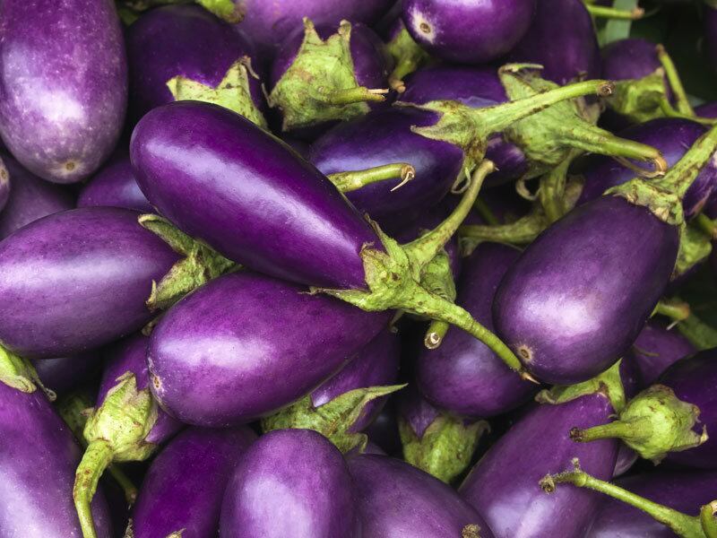 Fibra da berinjela: aliada do emagrecimento e da saúde intestinal. - inspiração 2