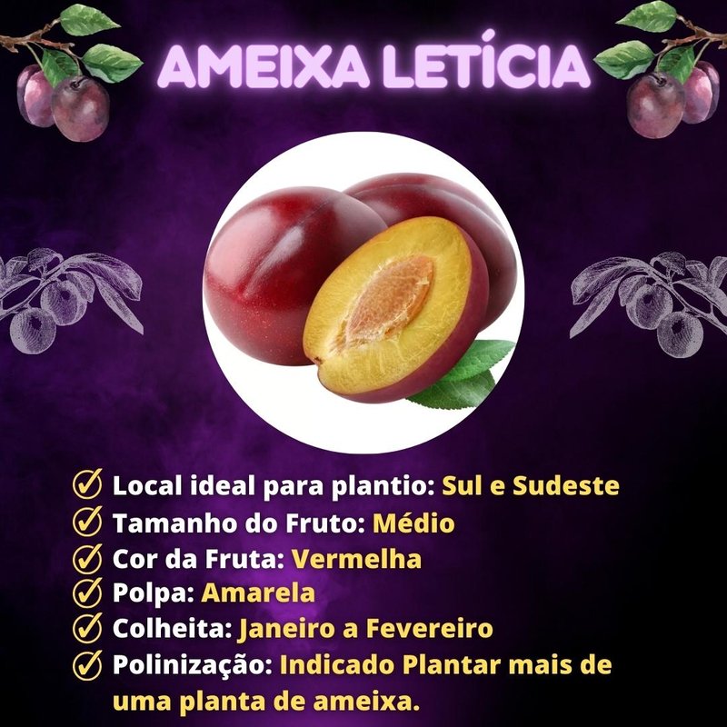 erros comuns ao consumir ameixa roxa para o intestino