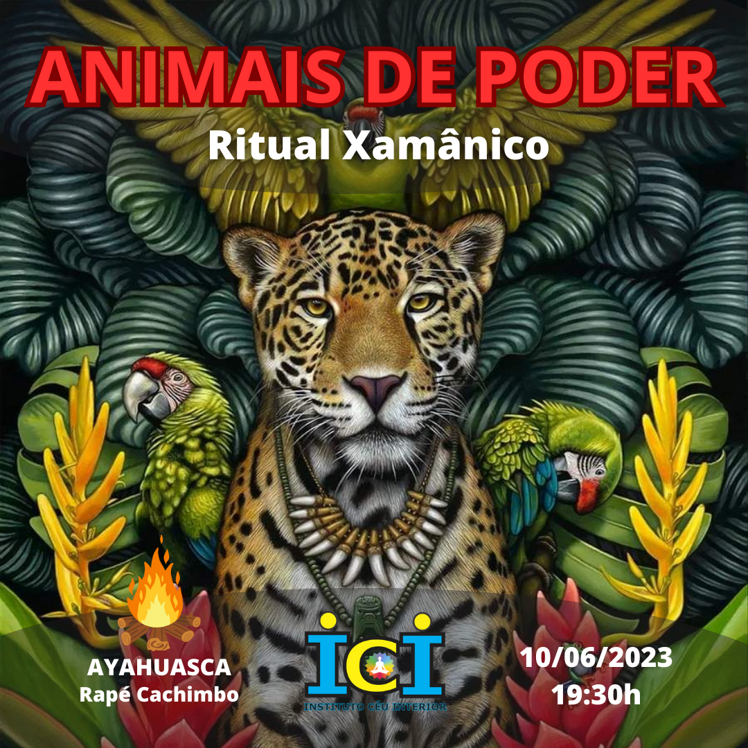 animais de poder na natureza