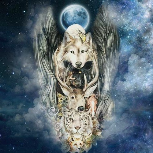 espiritualidade animal