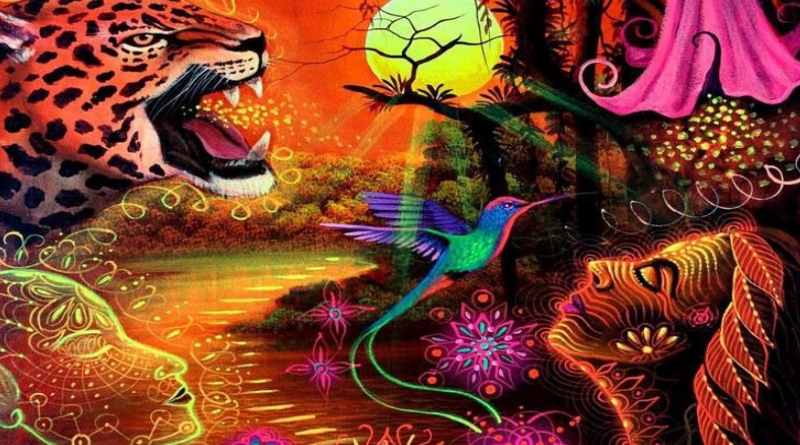 meditação para encontrar animal de poder