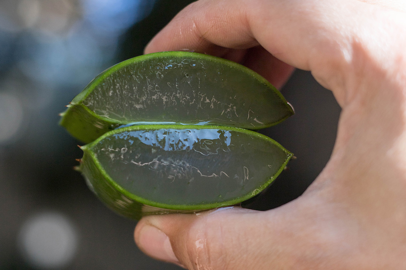 Babosa No Rosto: Saiba Como Usar E Seus Benefícios