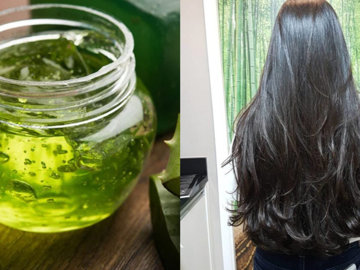 Babosa no Cabelo: Guia Completo de Benefícios e Aplicação