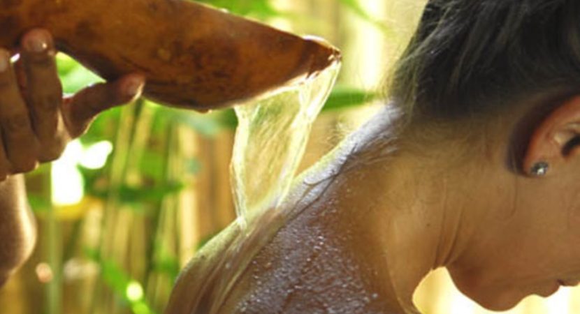 Como o Banho de Boldo Pode Transformar Sua Energia