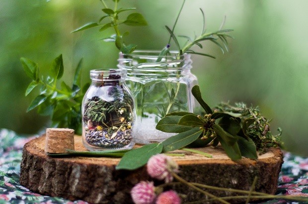 Banhos Calmantes: Ervas Ideais para o Equilíbrio Emocional