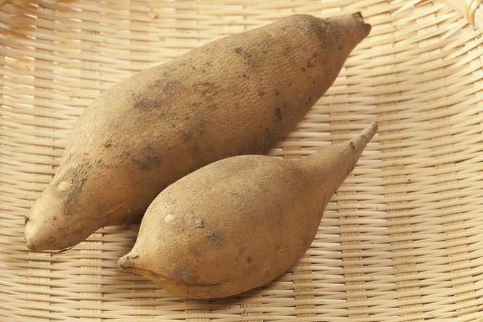 efeitos colaterais batata yacon