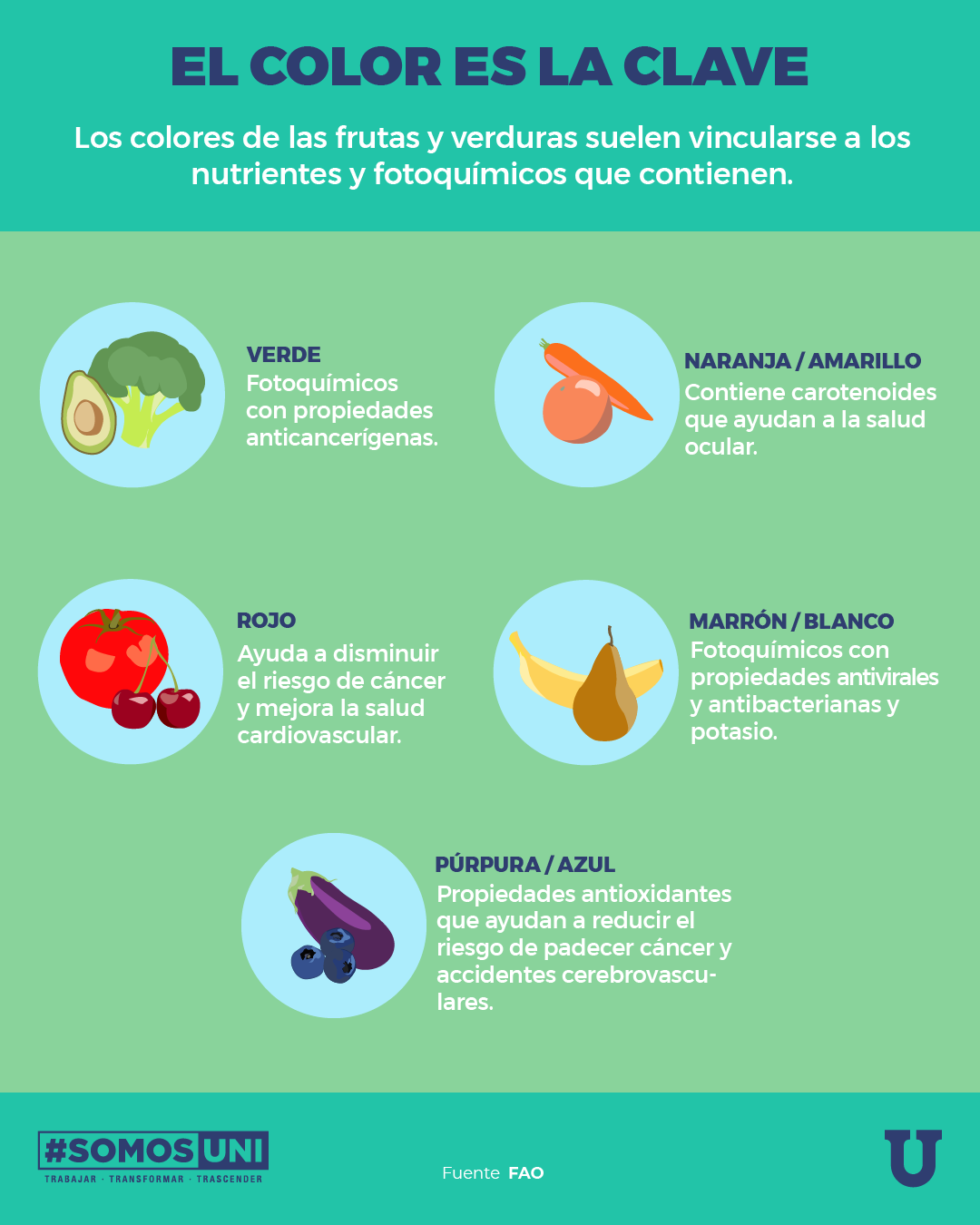 Suco ou Fruta Inteira? Entenda a Melhor Forma de Consumir