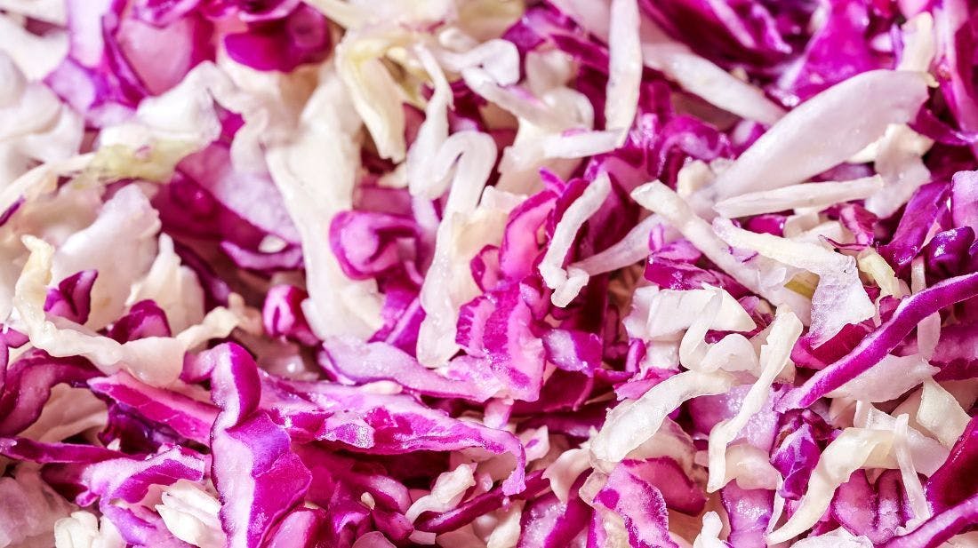 repolho cru vs cozido benefícios